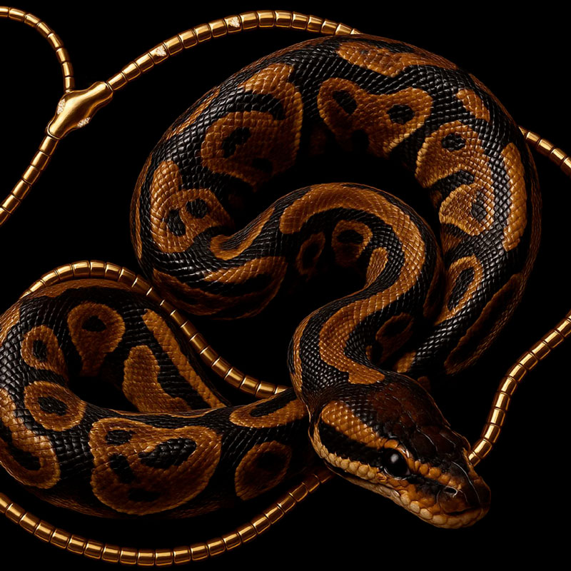 Créations Be Maad au Bijou Parfumé à Grenoble, bijoux modernes et délicats pour une touche d’élégance.